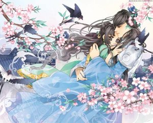 狼友不迷路视频